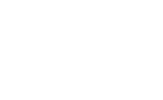 deuna small white logo