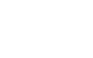 dodgeball small white logo