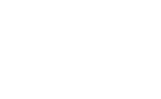 payoneer small white logo
