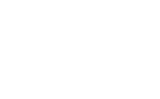 ttec small white logo