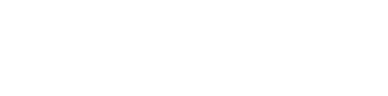 WSO2-Logo-White